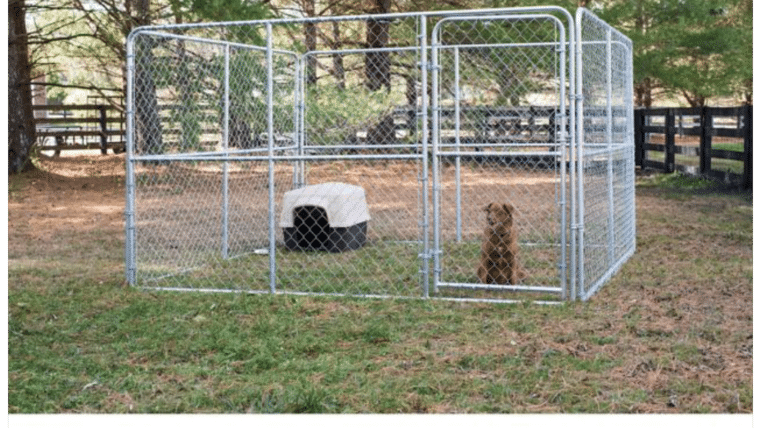 10′ x 10′ Silver Chain Link Dog Kennel w/Access Door | Rental 10′ x 10′ Silver Chain Link Dog Kennel w/Access Door | Rental