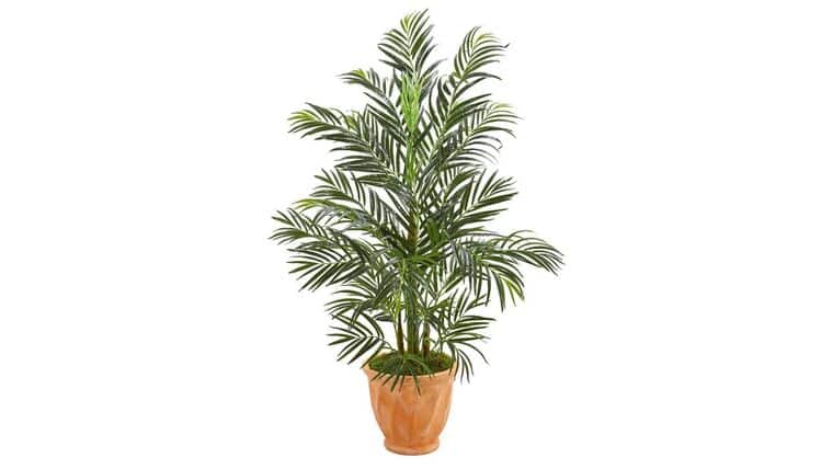 4’ Areca Palm Artificial Tree in Terra-cotta Planter (Indoor/Outdoor) | Rental 4’ Areca Palm Artificial Tree in Terra-cotta Planter (Indoor/Outdoor) | Rental