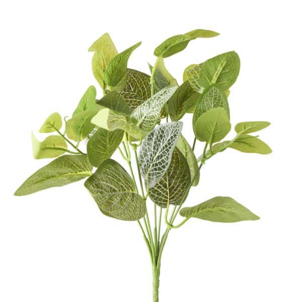 Decostar™ Artificial Fittonia Leaf Bunch – Green/White – 13″ | Rental Decostar™ Artificial Fittonia Leaf Bunch – Green/White – 13″ | Rental