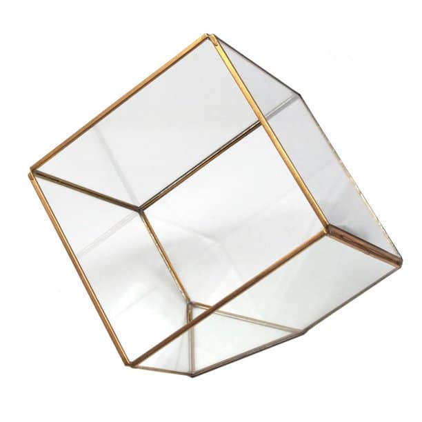 Gold Geometric Glass Terrarium Display Box, Tilted Cube, 6-Inch | Rental Gold Geometric Glass Terrarium Display Box, Tilted Cube, 6-Inch | Rental