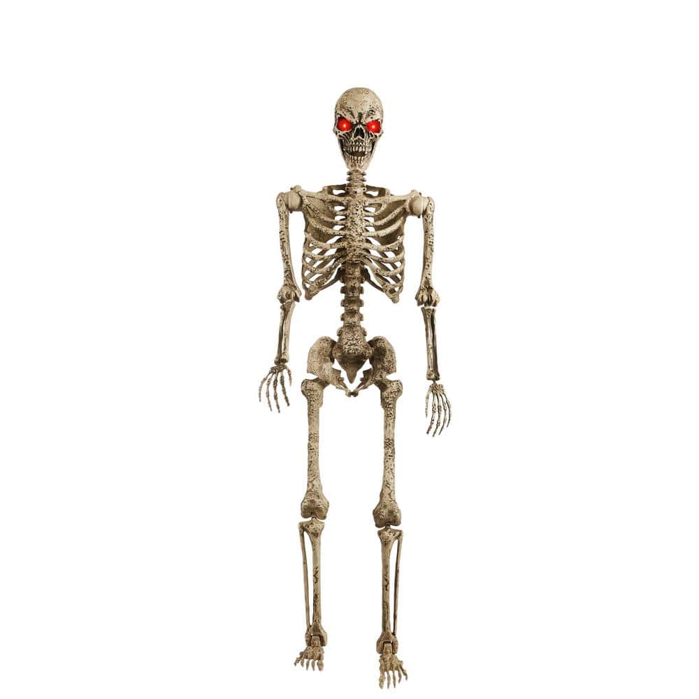 Home Accents Holiday — Halloween Scrub 43 | Rental Home Accents Holiday — Halloween Scrub 43 | Rental